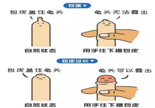 a549e3b43a5d4a6ea99cdf8101e623b0.jpeg
