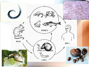 78608b9086e34211abd04dea493dda74.png