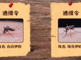 登革热来了，防蚊措施不可少