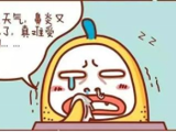 阿...阿嚏！ 如何拯救我的过敏性鼻炎？