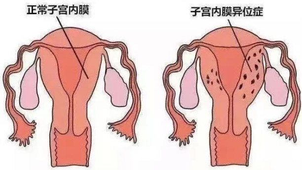 e734194cfa7b4b4f8ec89e689a7a4998.png