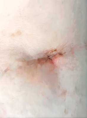 cd7a555d12e74a9e931e51edbc536d39.png