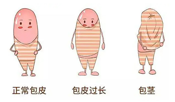 abc31f286a0849c79dcb960d35e381bd.png