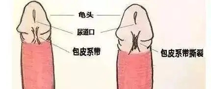 cc572b31263e4193ae0a00e2556b2a03.png